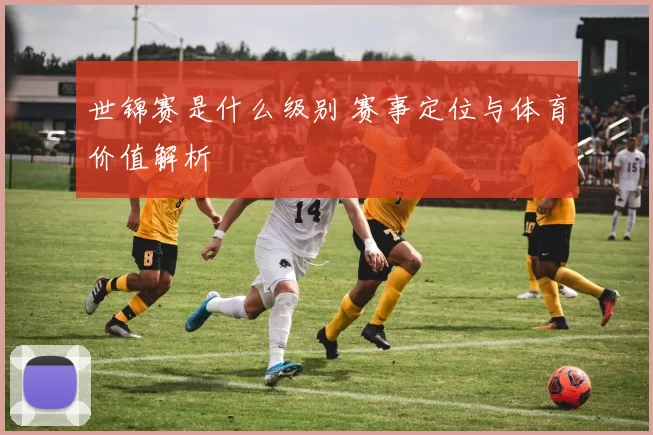 世锦赛是什么级别 赛事定位与体育价值解析