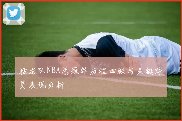 猛龙队NBA总冠军历程回顾与关键球员表现分析